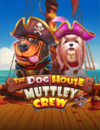 mafia 899ทดลอง เล่น เกม ฟรี และประสบการณ์การเล่น